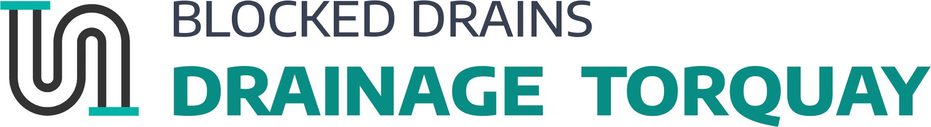 website logo